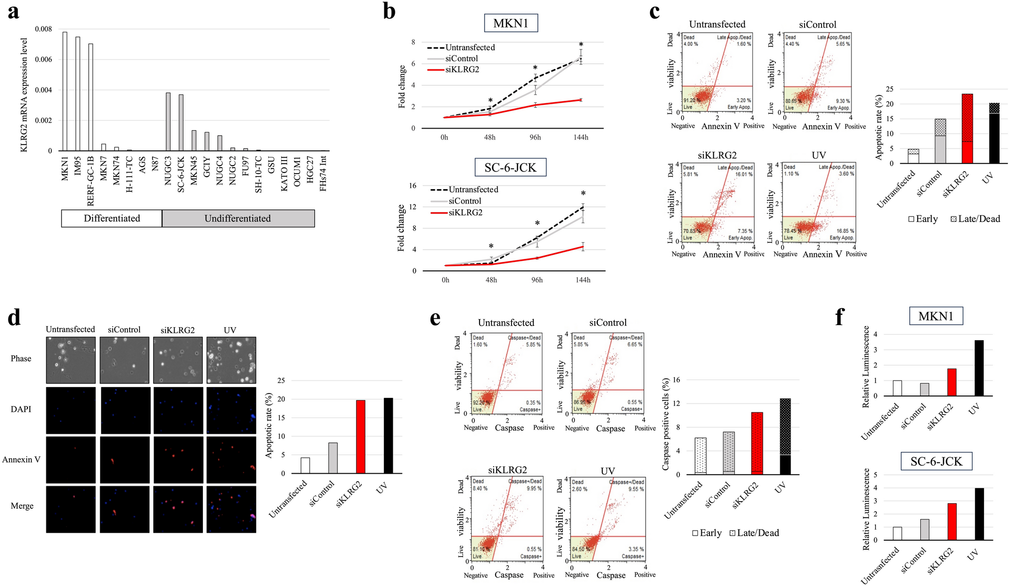 Killer cell lectin-like receptor G2 facilitates aggressive phenotypes of gastric cancer cells via dual activation of the ERK1/2 and JAK/STAT pathways
