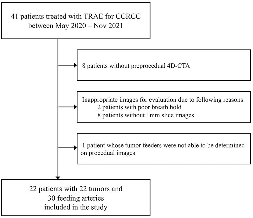 Depiction rate of feeding arteries of renal cell carcinoma on four-dimensional computed tomography angiography