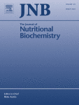 Interplay between Maternal Nutrition and Epigenetic Programming on Offspring Hypertension