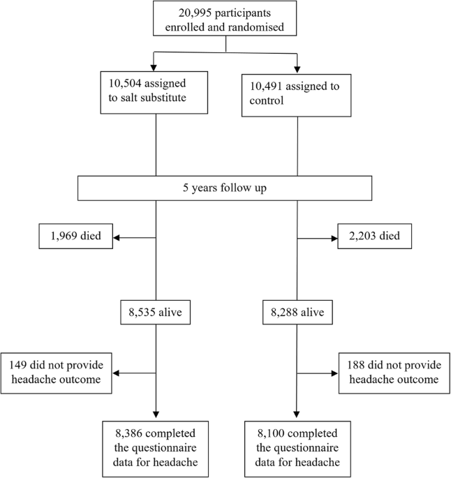 The effect of salt substitution on frequency and severity of headache: results from the SSaSS cluster-randomised controlled trial of 20,995 participants