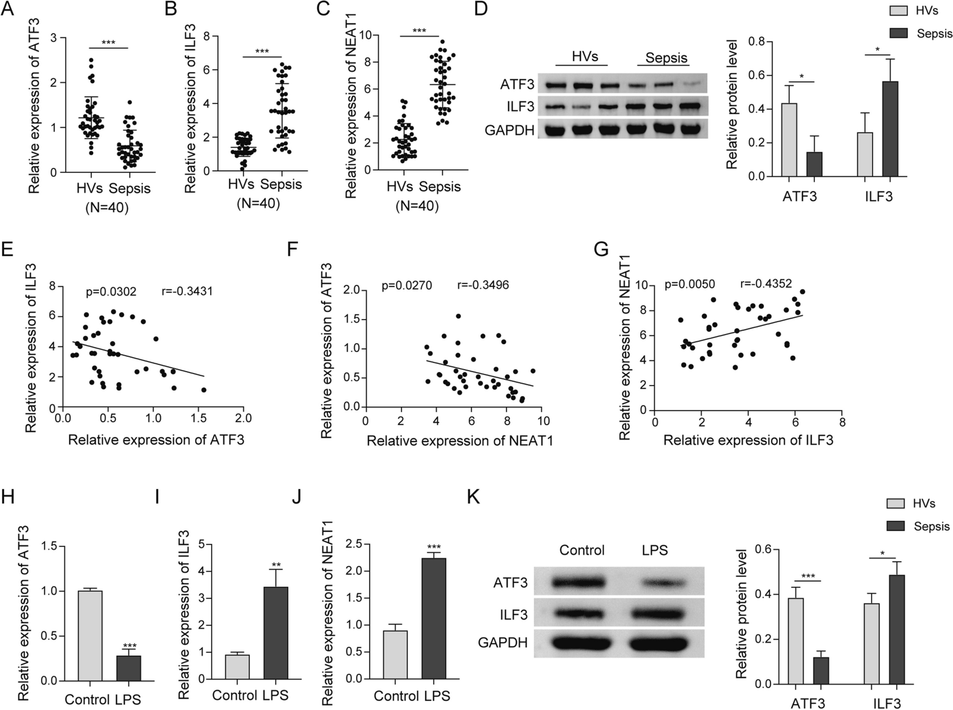Role of ATF3 triggering M2 macrophage polarization to protect against the inflammatory injury of sepsis through ILF3/NEAT1 axis