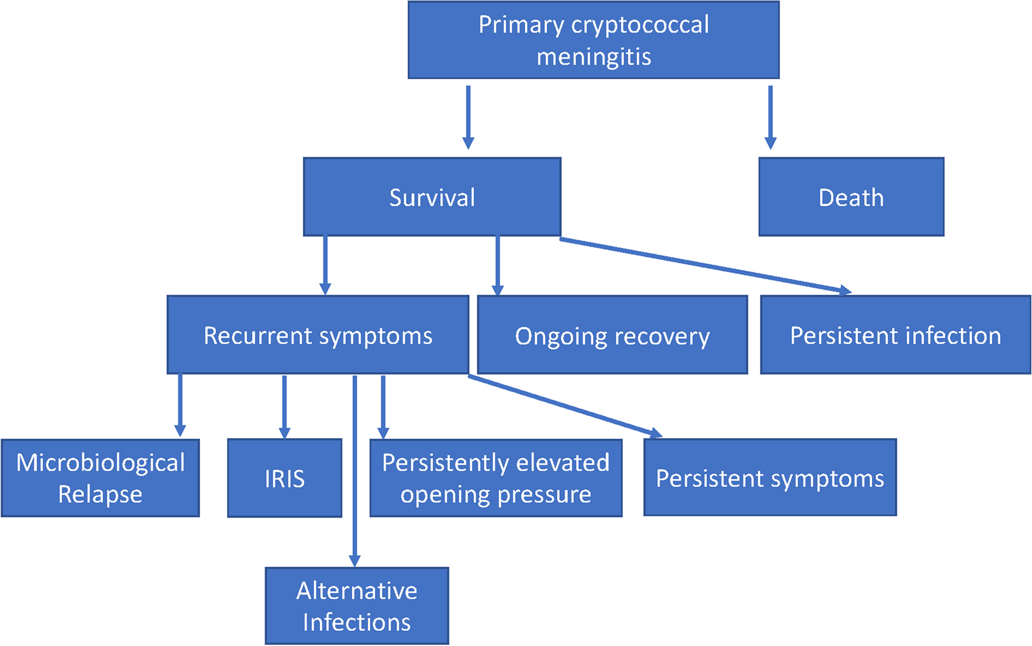 Complex Decisions in HIV-Related Cryptococcosis: Addressing Second Episodes of Cryptococcal Meningitis