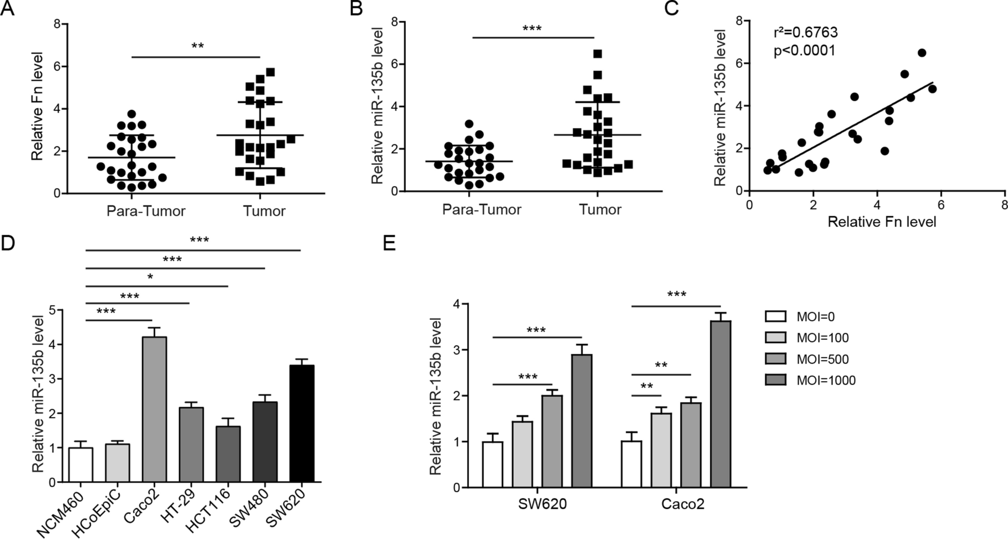 miR-135b Aggravates Fusobacterium nucleatum-Induced Cisplatin Resistance in Colorectal Cancer by Targeting KLF13