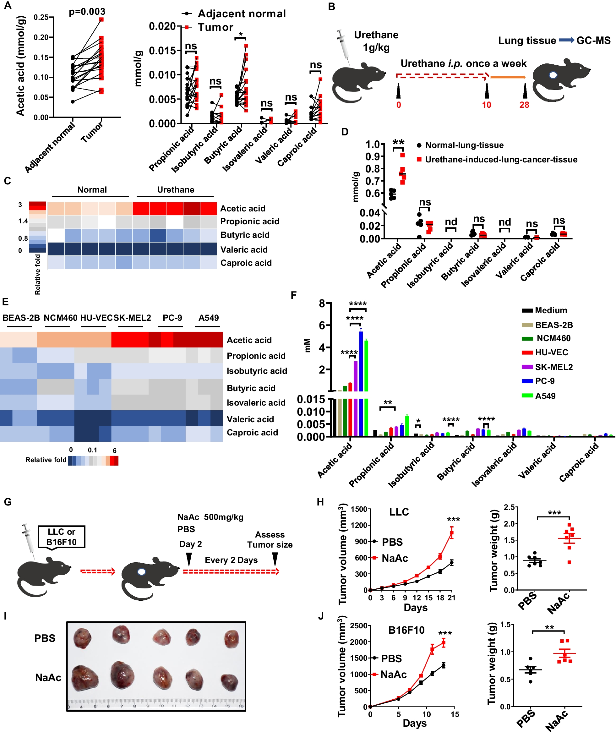 FFAR2 expressing myeloid-derived suppressor cells drive cancer immunoevasion