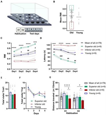 Cognitive performance in aged rats is associated with differences in distinctive neuronal populations in the ventral tegmental area and altered synaptic plasticity in the hippocampus