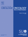 Simulation of the effects of molecular urine markers in follow-up of patients with high-risk non-muscle invasive bladder cancer