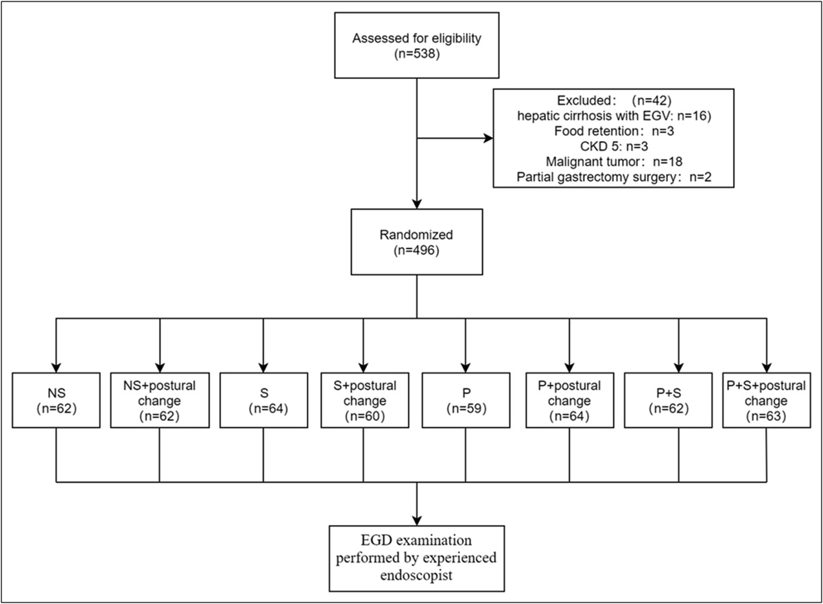 The Effect of Using Premedication of Simethicone/Pronase With or Without Postural Change on Visualization of the Mucosa Before Endoscopy: A Prospective, Double Blinded, Randomized Controlled Trial