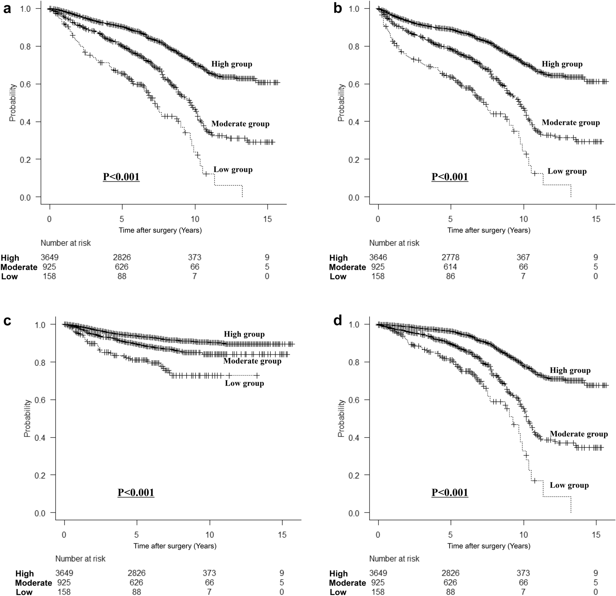 Impact of preoperative prealbumin levels on long-term prognosis in patients with gastric cancer after gastrectomy: a retrospective cohort study