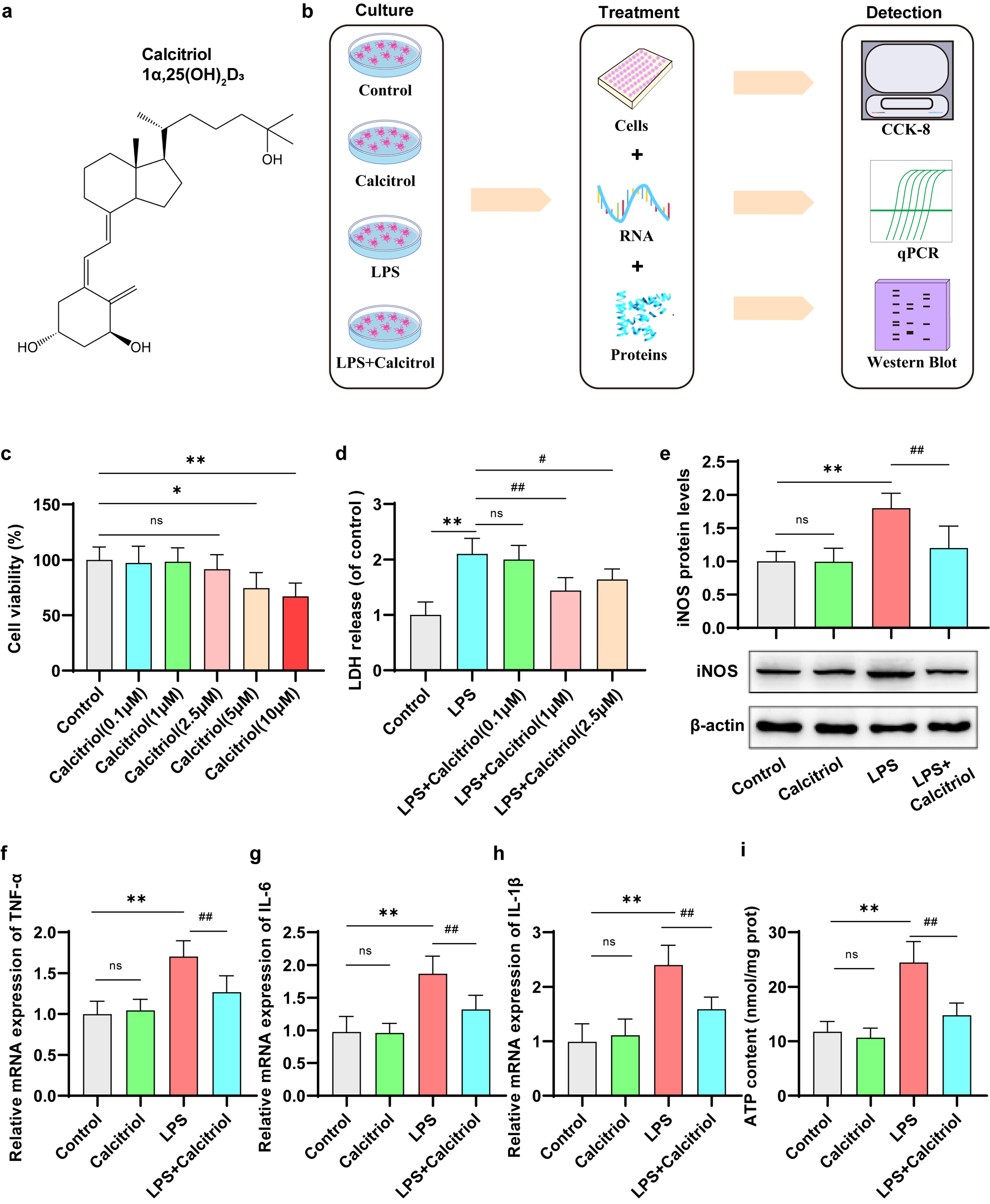 Calcitriol attenuates lipopolysaccharide-induced neuroinflammation and depressive-like behaviors by suppressing the P2X7R/NLRP3/caspase-1 pathway