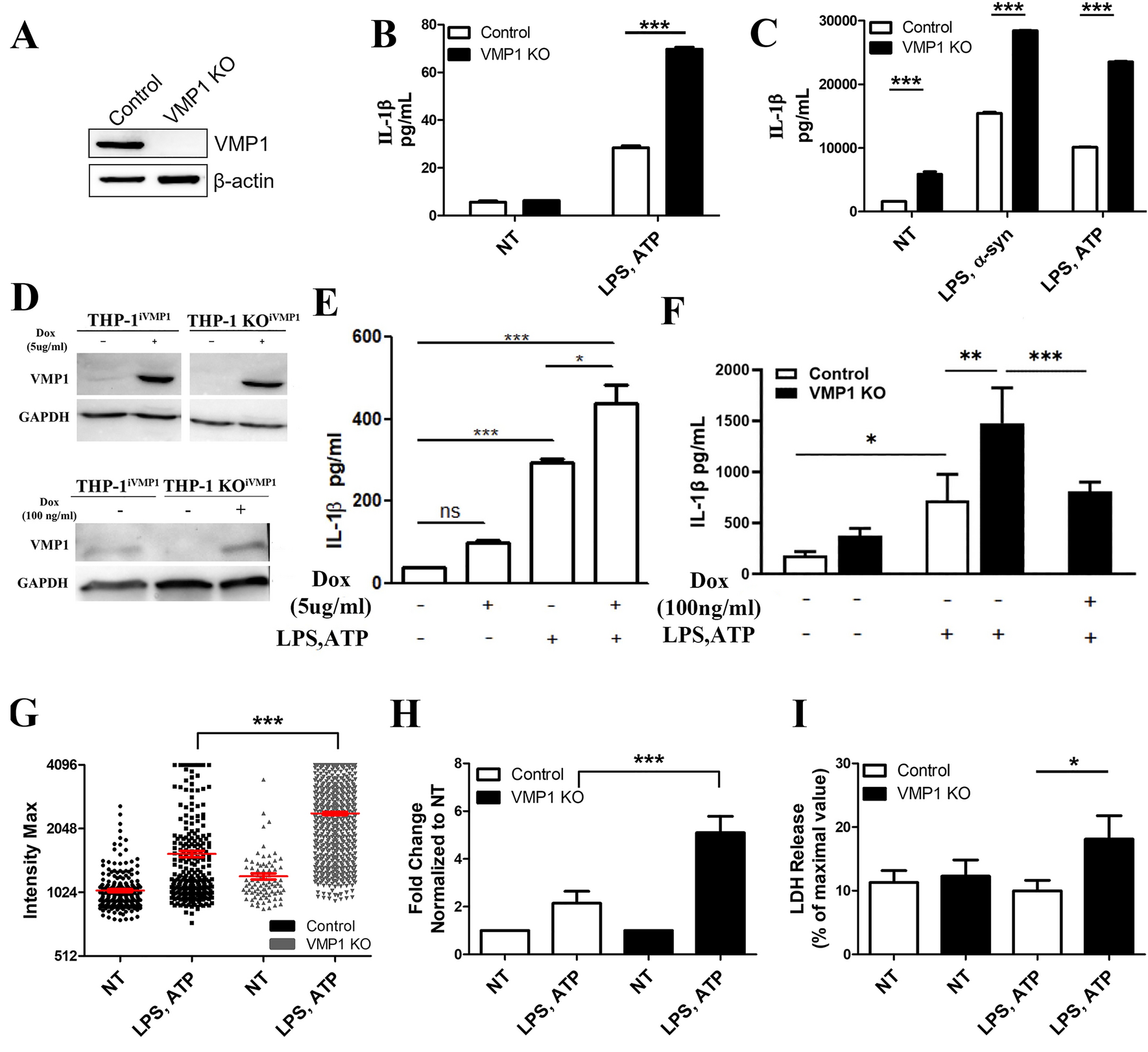 Altered vacuole membrane protein 1 (VMP1) expression is associated with increased NLRP3 inflammasome activation and mitochondrial dysfunction