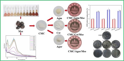 Intelligent carboxymethyl cellulose composite films containing Garcinia mangostana shell anthocyanin with improved antioxidant and antibacterial properties