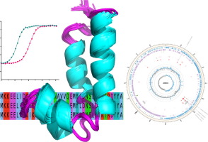 Folded Alpha Helical Putative New Proteins from Apilactobacillus kunkeei
