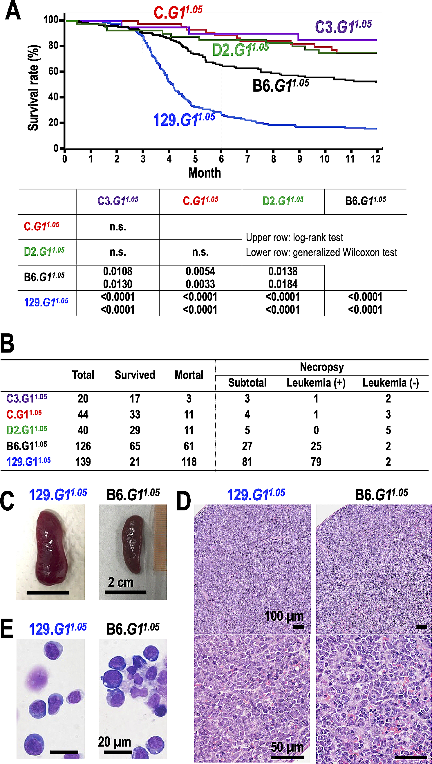 Strain-dependent modifiers exacerbate familial leukemia caused by GATA1-deficiency