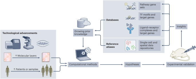 Integrating single-cell multi-omics and prior biological knowledge for a functional characterization of the immune system