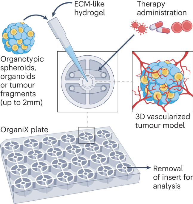 The OrganiX microfluidic system to recreate the complex tumour microenvironment