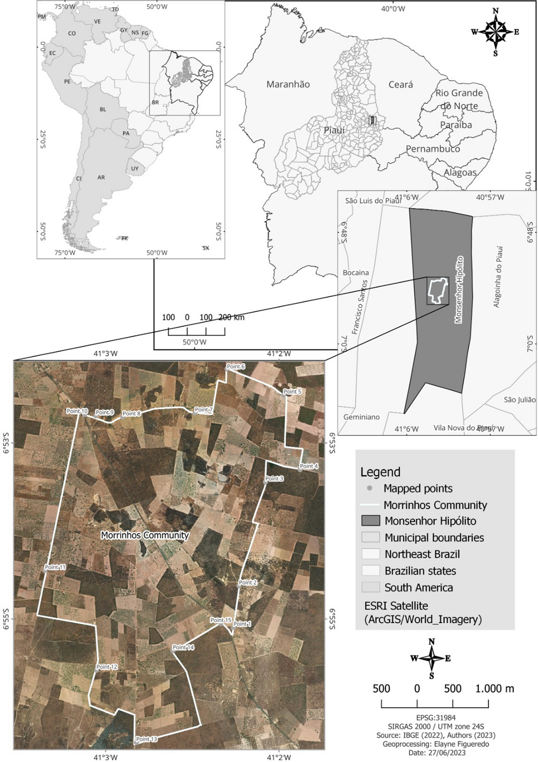 The influence of exotic and native plants on illnesses with physical and spiritual causes in the semiarid region of Piauí, Northeast of Brazil