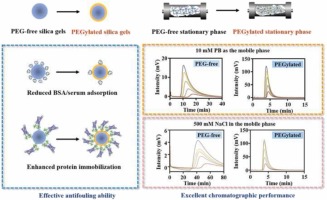 Highly efficient GPCR immobilization with enhanced fouling resistance, salt tolerance, and chromatographic performance