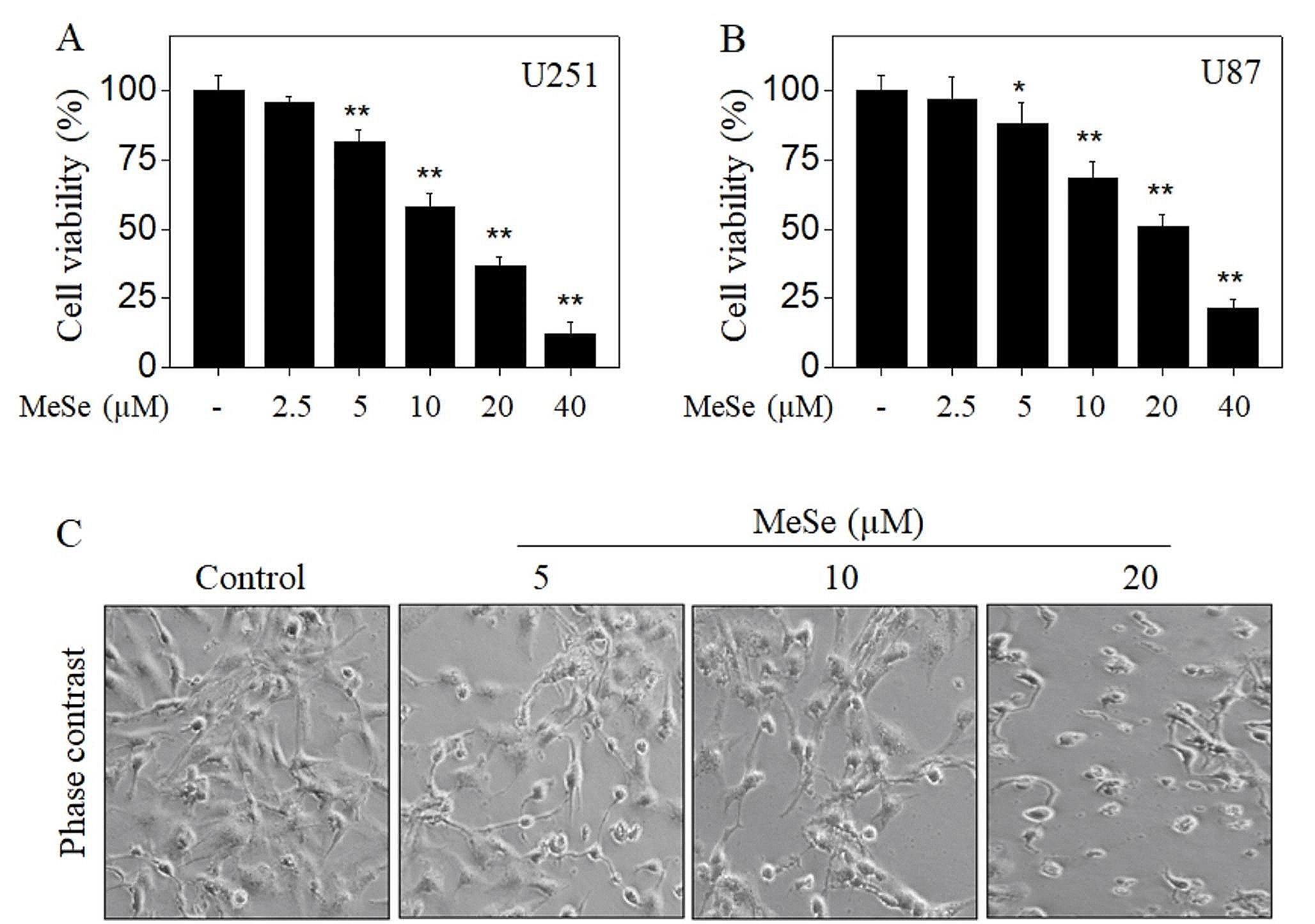 Methylseleninic acid inhibits human glioma growth in vitro and in vivo by triggering ROS-dependent oxidative damage and apoptosis