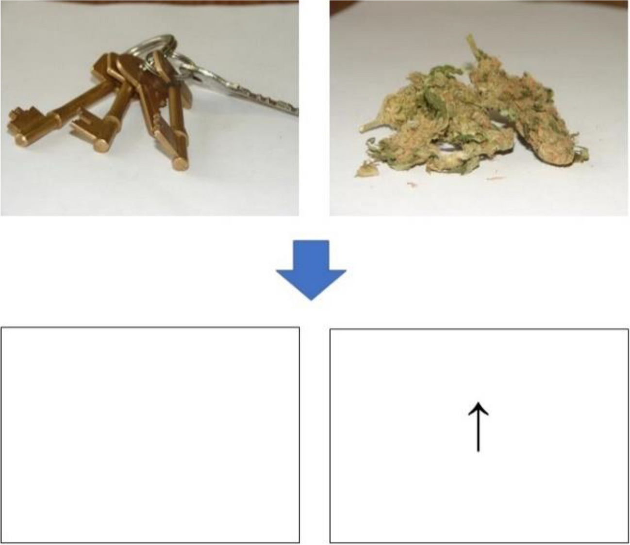 The acute effects of cannabis, with and without cannabidiol, on attentional bias to cannabis related cues: a randomised, double-blind, placebo-controlled, cross-over study