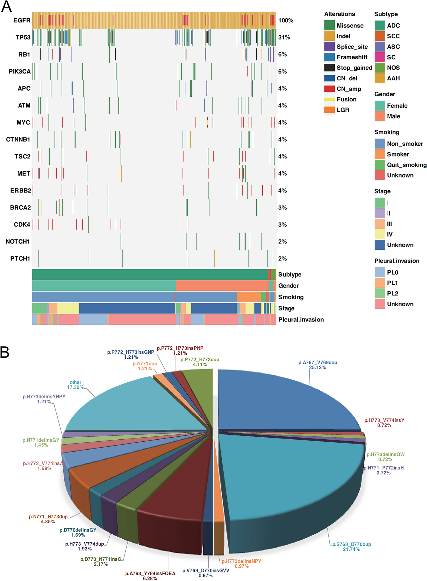 EGFR and ERBB2 Exon 20 Insertion Mutations in Chinese Non-small Cell Lung Cancer Patients: Pathological and Molecular Characterization, and First-Line Systemic Treatment Evaluation