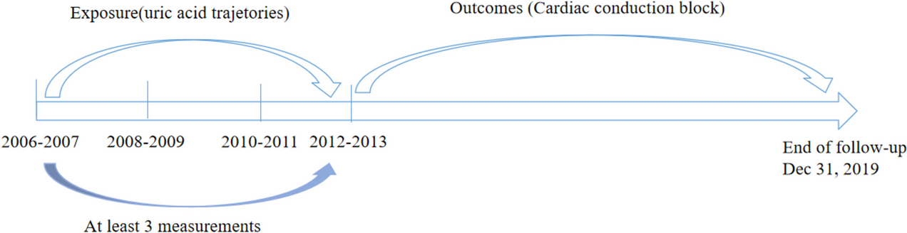 Distinct uric acid trajectories are associated with incident cardiac conduction block