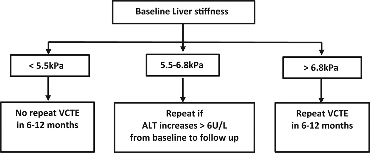 Optimizing surveillance of low-risk metabolic dysfunction associated steatotic liver disease using transient elastography