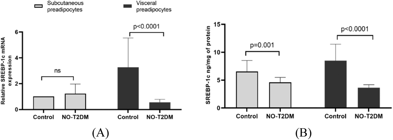 Association of adipocyte size and SREBP-1c in visceral and subcutaneous adipose tissue in non-obese type 2 diabetes mellitus