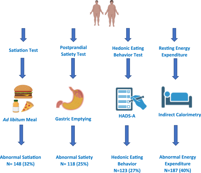 Cumulative effect of obesity phenotypes on body weight and body mass index