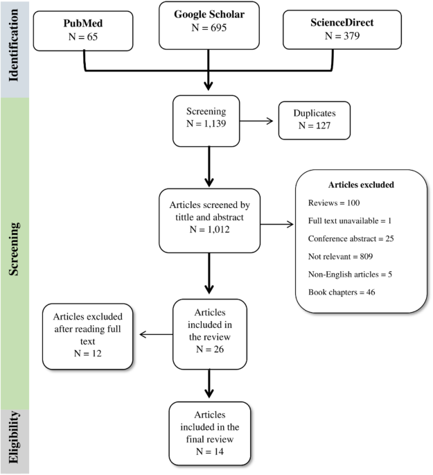 Age and sex-based impacts of maternal iron deficiency on offspring’s cognitive function and anemia: A systematic review