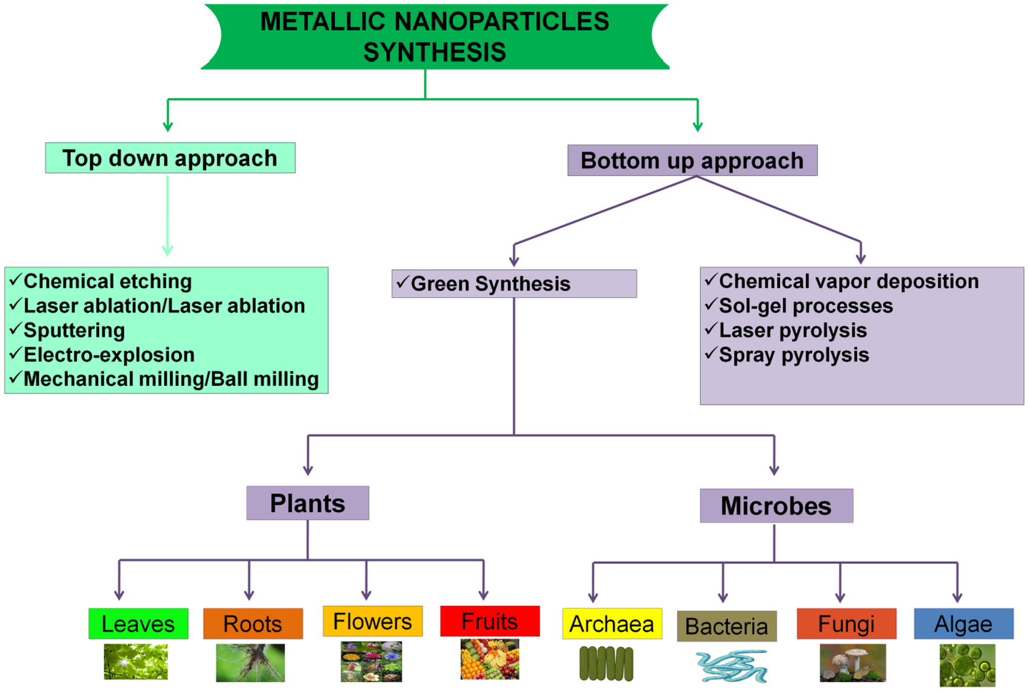 Microbial nanotechnology for agriculture, food, and environmental sustainability: Current status and future perspective