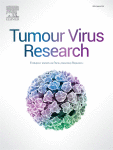 E4orf1: The triple agent of adenovirus – Unraveling its roles in oncogenesis, infectious obesity and immune responses in virus replication and vector therapy