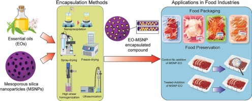 Mesoporous silica nanoparticles: A versatile platform for encapsulation and delivery of essential oils for food applications