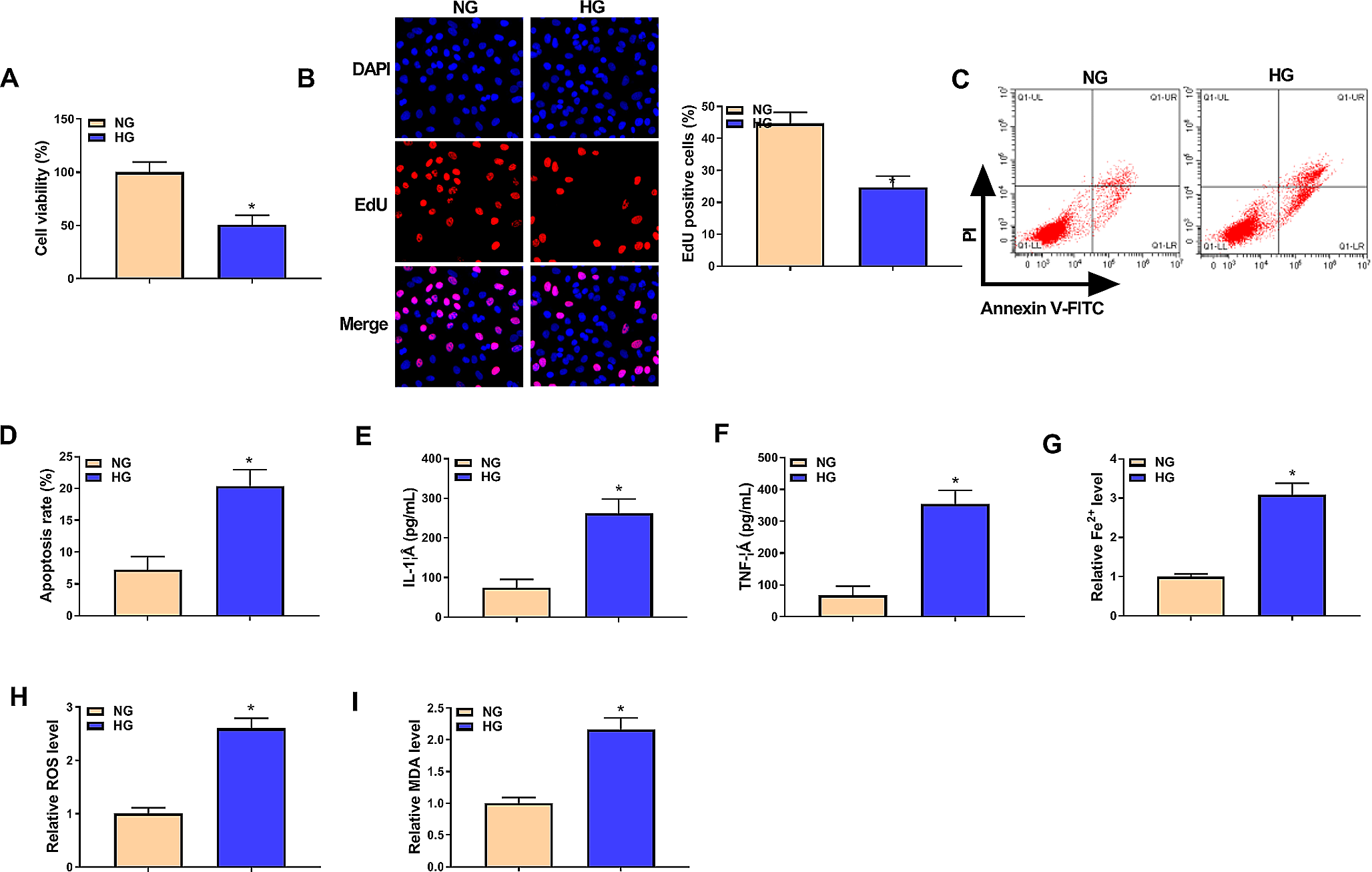 USP48 deubiquitination stabilizes SLC1A5 to inhibit retinal pigment epithelium cell inflammation, oxidative stress and ferroptosis in the progression of diabetic retinopathy