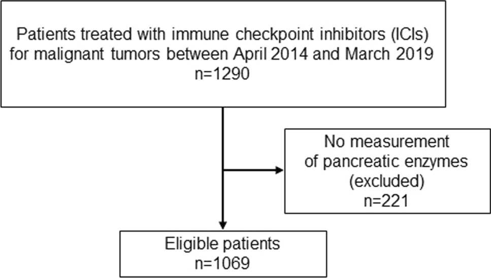 Pancreatic injury in patients treated with immune checkpoint inhibitors: a retrospective multicenterstudy