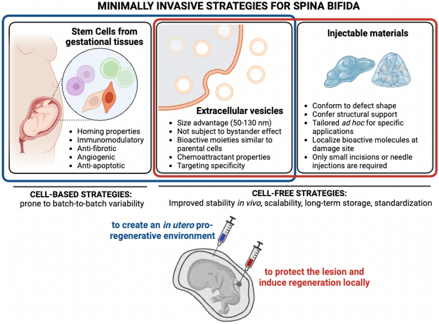 Stem Cell-Based Strategies for Prenatal Treatment of Spina Bifida and the Promise of Cell-Free, Minimally Invasive Approaches