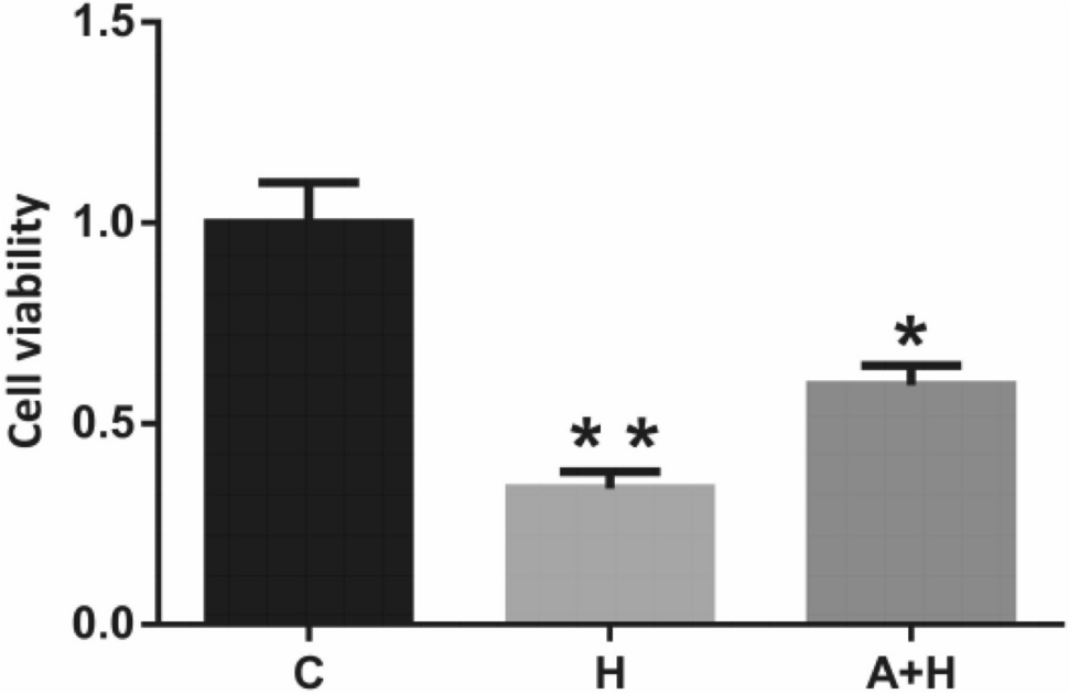 Adiponectin attenuates H2O2-induced apoptosis in chicken skeletal myoblasts through the lysosomal-mitochondrial axis