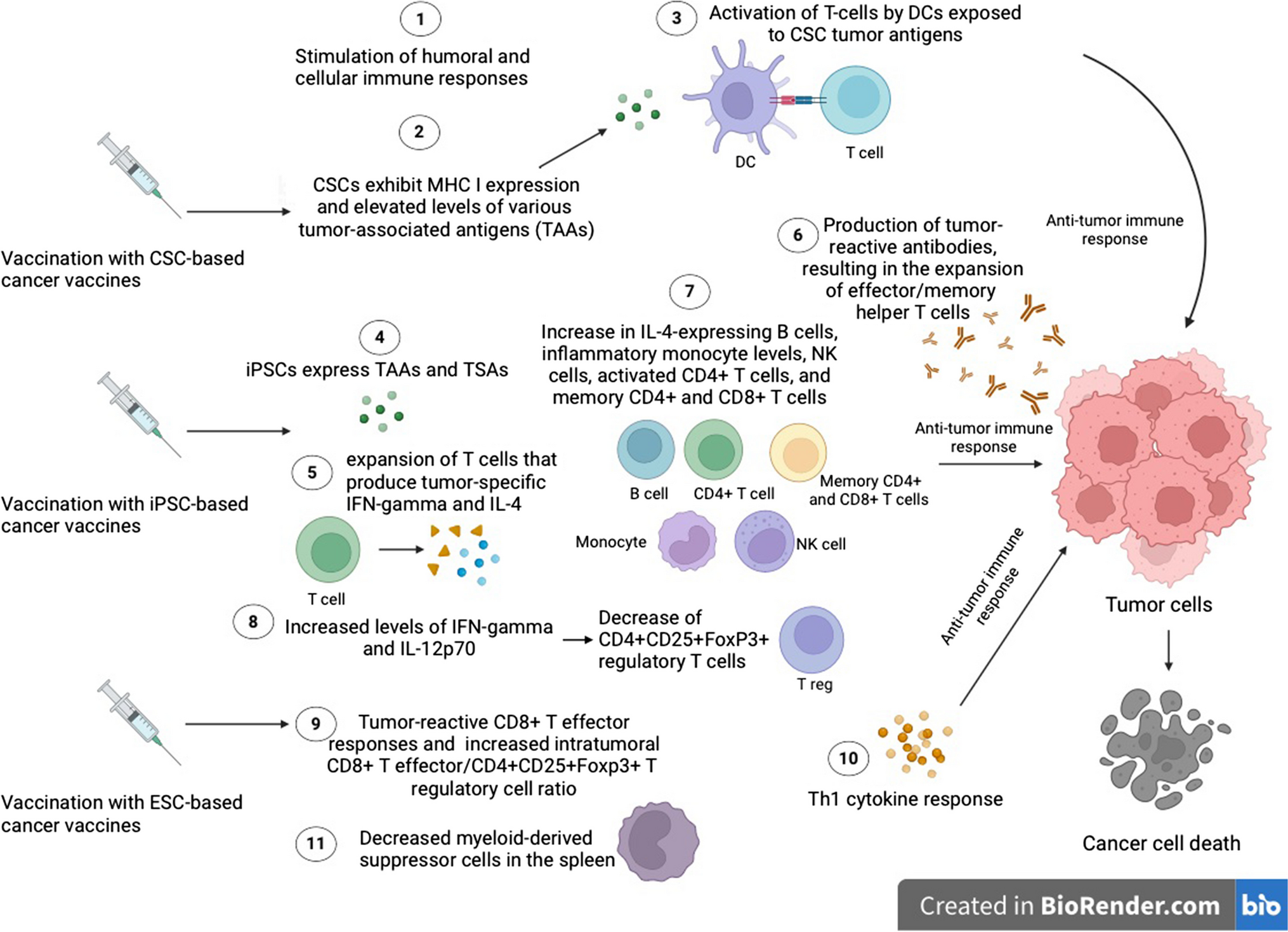 Cell-Based Vaccines: Frontiers in Medical Technology for Cancer Treatment