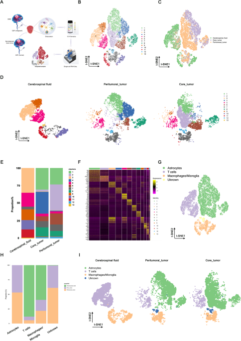 Single-cell atlas reveals the immunosuppressive microenvironment and Treg cells landscapes in recurrent Glioblastoma