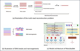 Robust Multi-read Reconstruction from Noisy Clusters Using Deep Neural Network for DNA Storage