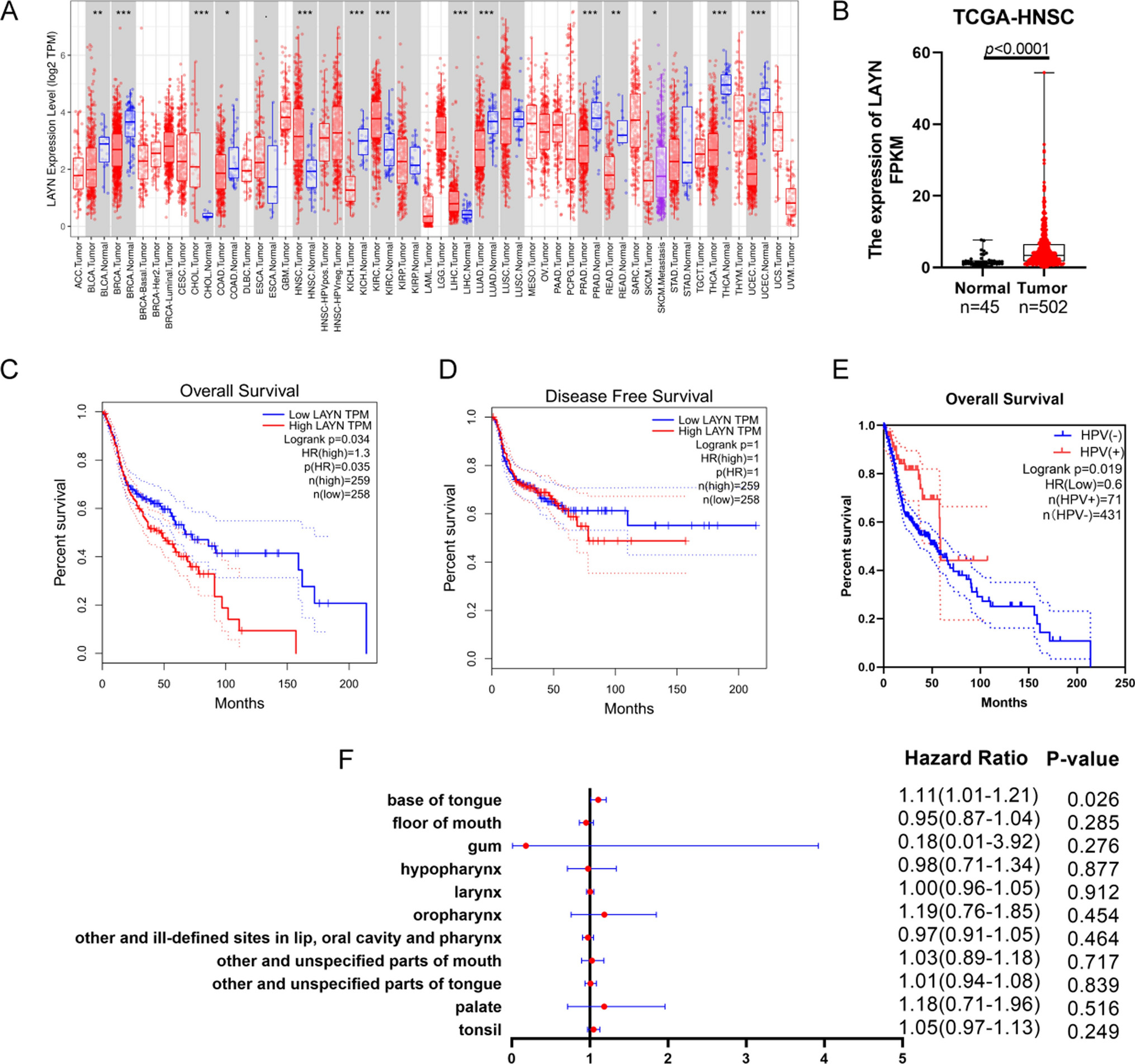 The prognostic value of LAYN in HPV-related head and neck squamous cell carcinoma and its influence on immune cell infiltration