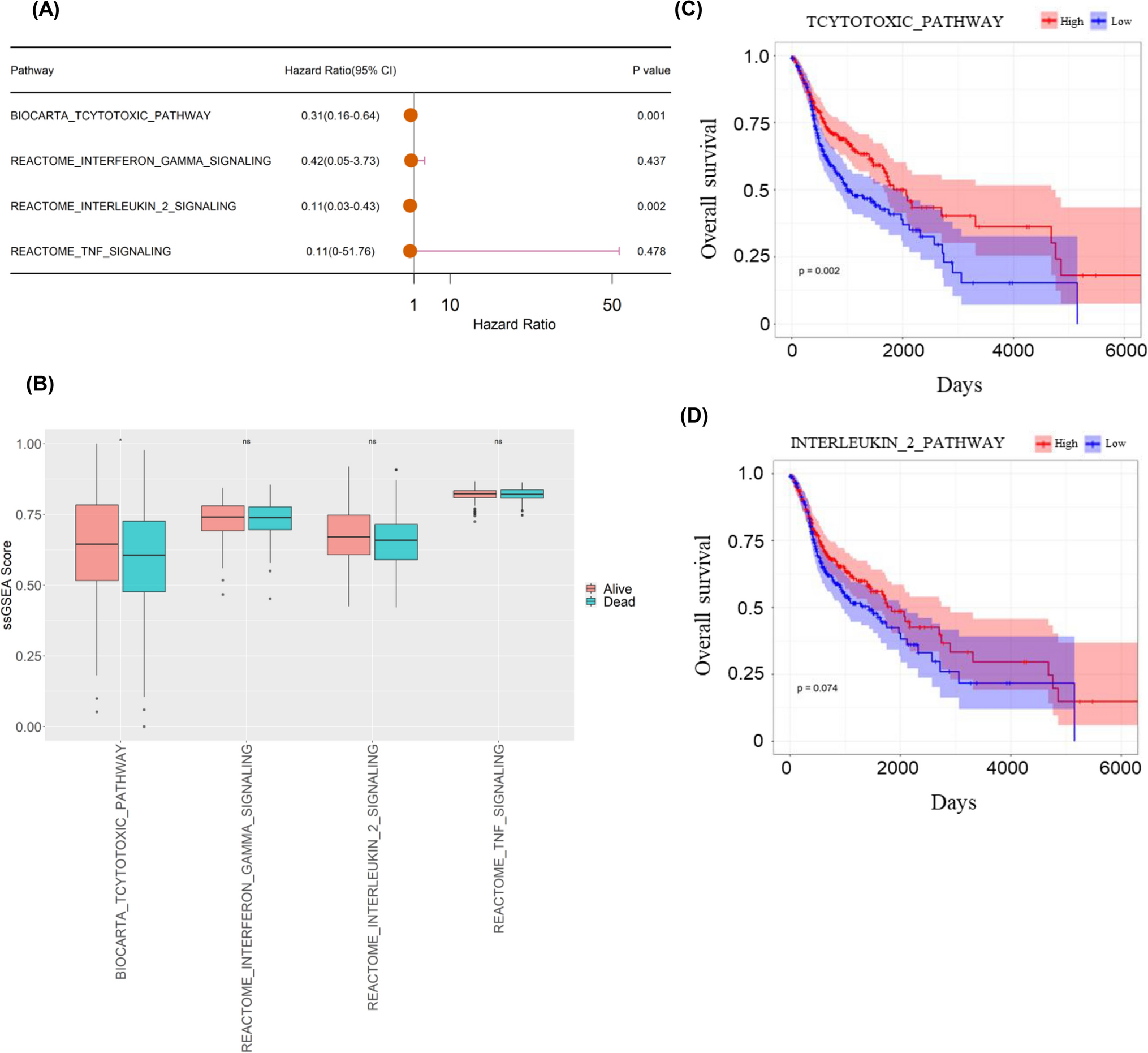 Comprehensive analysis of T cell exhaustion related signature for predicting prognosis and immunotherapy response in HNSCC