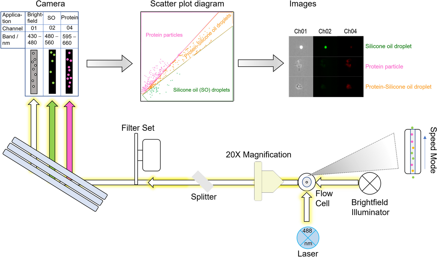 Assessment of Imaging Flow Cytometry for the Simultaneous Discrimination of Protein Particles and Silicone Oil Droplets in Biologicals