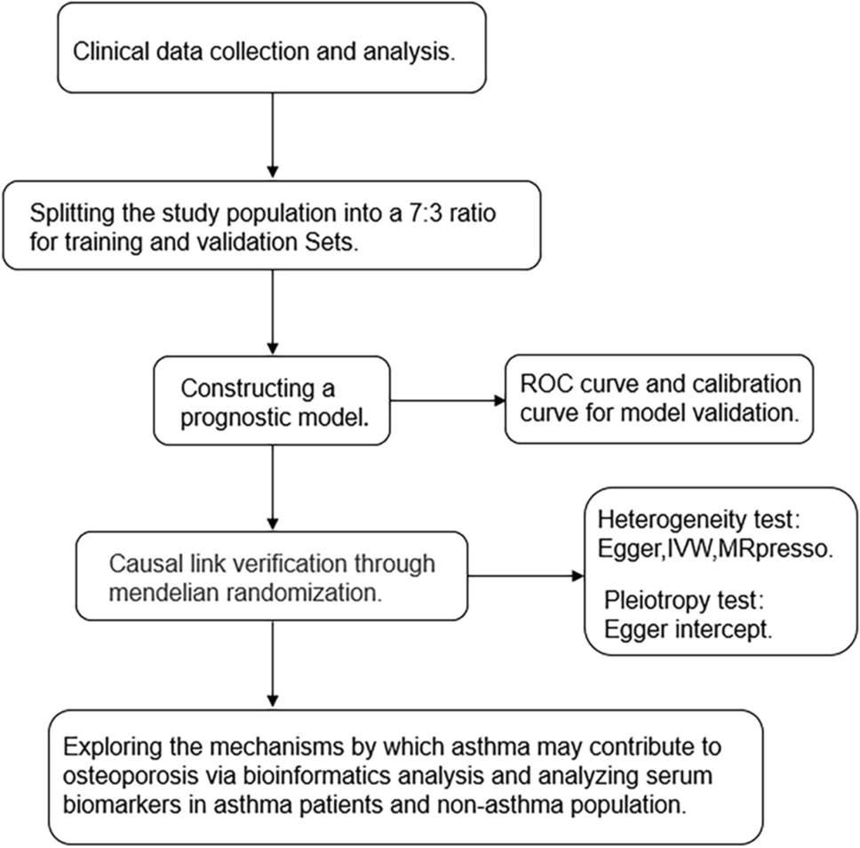 Cross-sectional studies of the causal link between asthma and osteoporosis: insights from Mendelian randomization and bioinformatics analysis