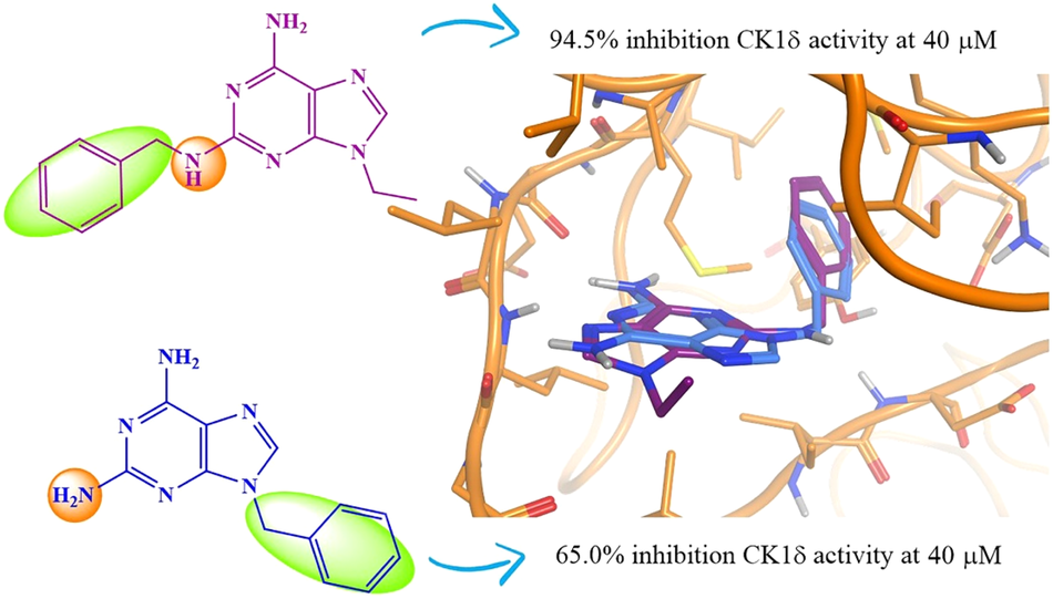 Adenine derivatives as inhibitors of the casein kinase CK1delta enzyme