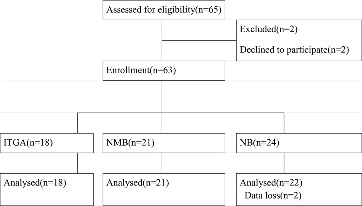 Optimizing nonintubated laryngeal microsurgery: The effectiveness and safety of superior laryngeal nerve block with high-flow nasal oxygen—A prospective cohort study