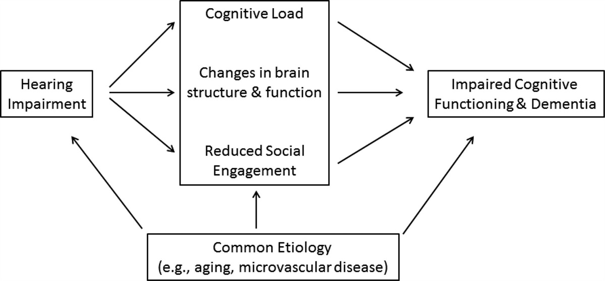 Hearing loss and dementia in older adults: A narrative review