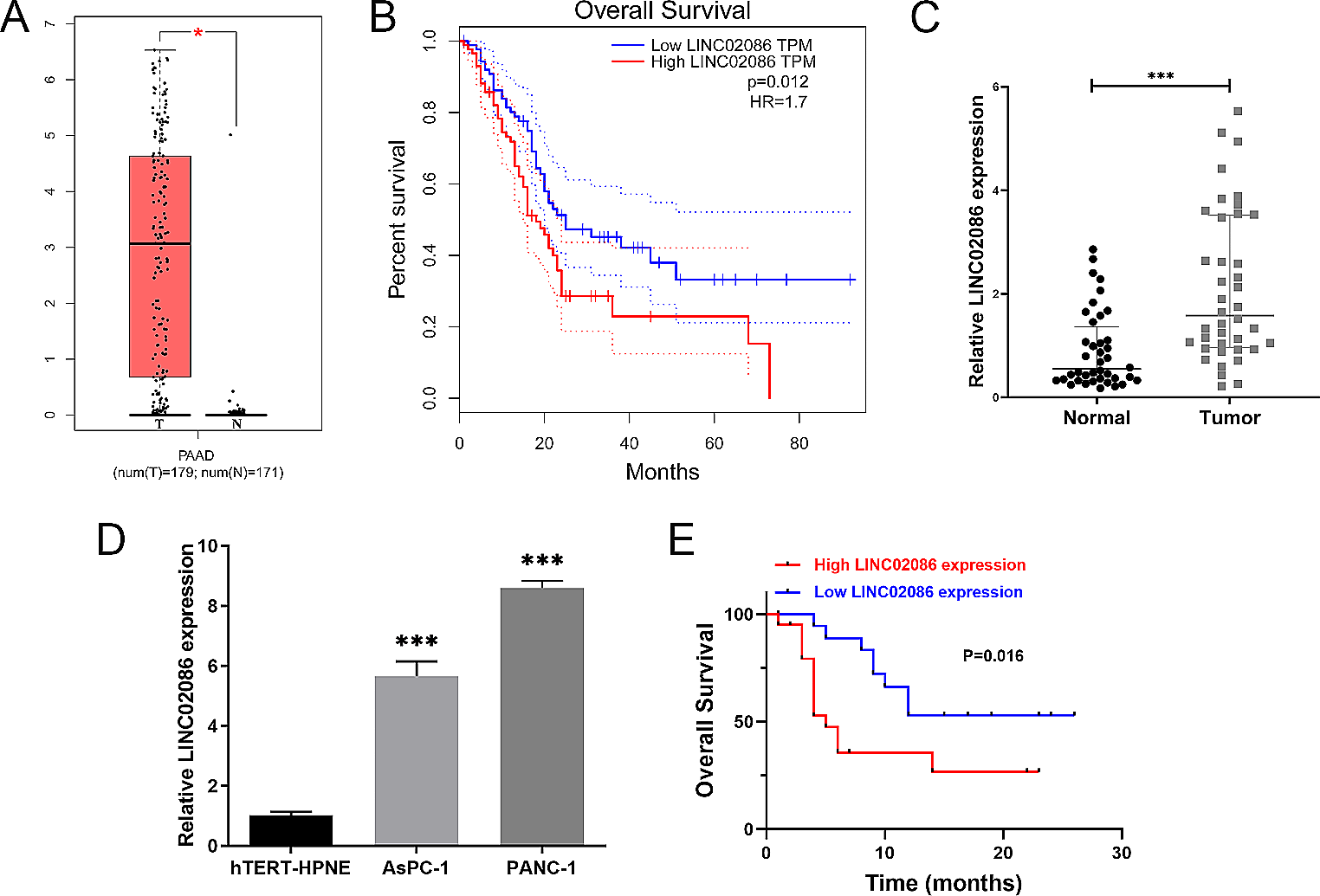 LINC02086 inhibits ferroptosis and promotes malignant phenotypes of pancreatic cancer via miR-342-3p/CA9 axis