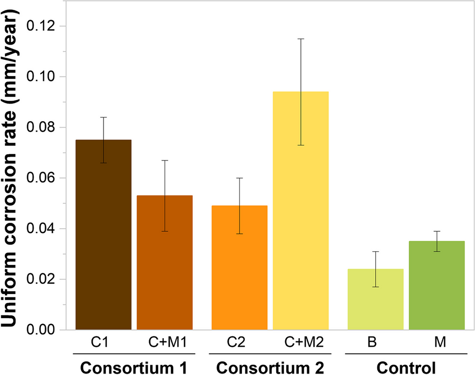 Synergistic corrosion effects of magnetite and microorganisms: microbial community dependency