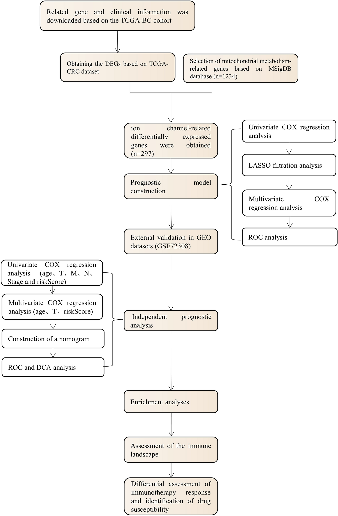 Construction and Analysis of a Mitochondrial Metabolism-Related Prognostic Model for Breast Cancer to Evaluate Survival and Immunotherapy