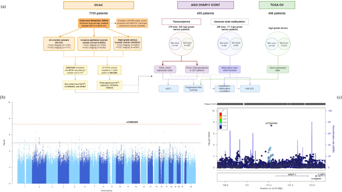 Genome-wide association analyses of ovarian cancer patients undergoing primary debulking surgery identify candidate genes for residual disease
